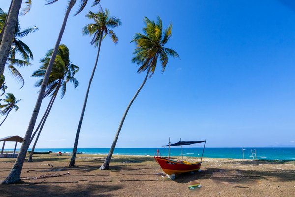 Voyager en croisière avec des enfants handicapés